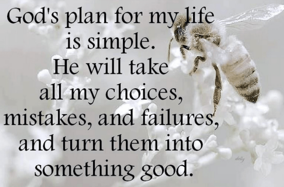 gods-plan