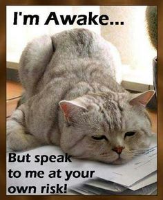 not a morning person